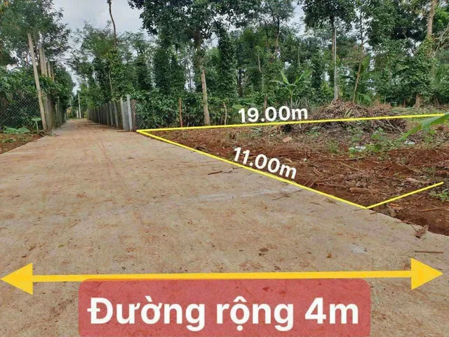 Bất động sản tại Đắk Lắk - ảnh 1