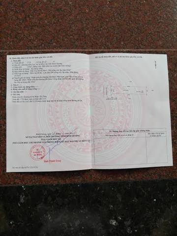 Bất động sản tại Bình Dương - ảnh 1