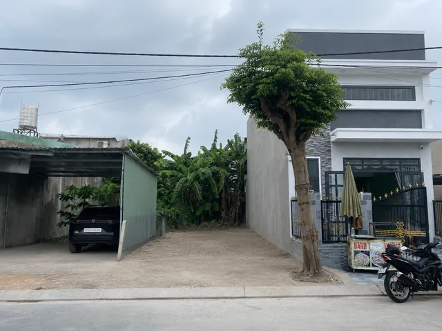 Bất động sản tại Bình Dương - ảnh 1