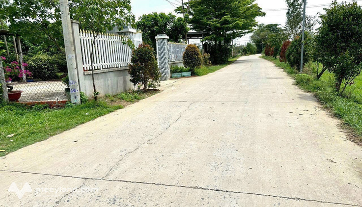 Bất động sản tại Long An - ảnh 1