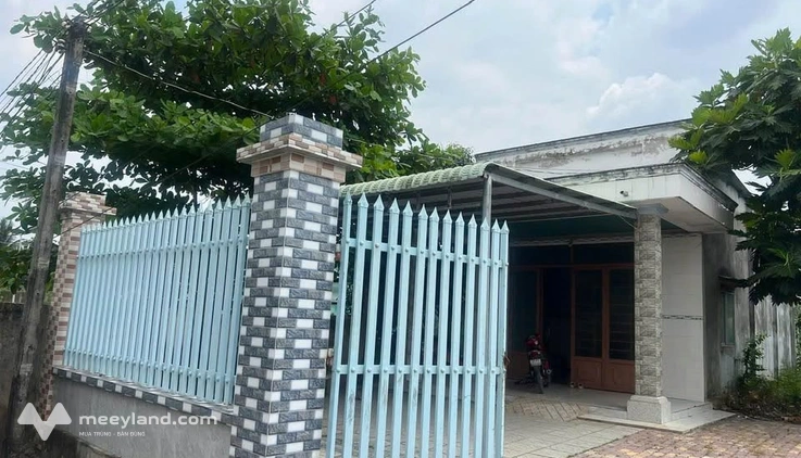Bất động sản tại Long An - ảnh 1