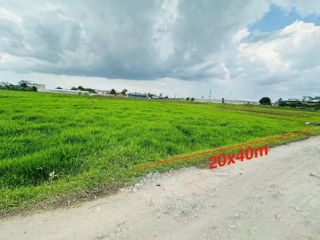 Bất động sản tại Tây Ninh - ảnh 1
