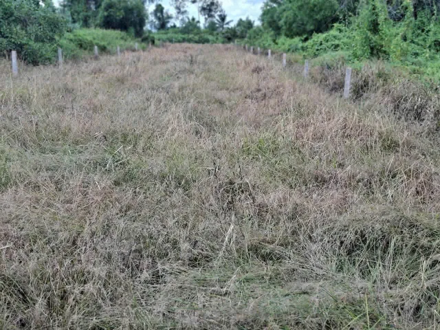 Bất động sản tại Tây Ninh - ảnh 1
