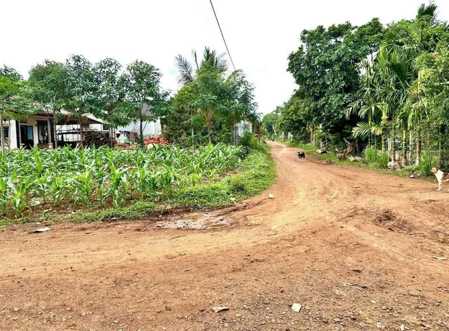 Bất động sản tại Đắk Lắk - ảnh 1