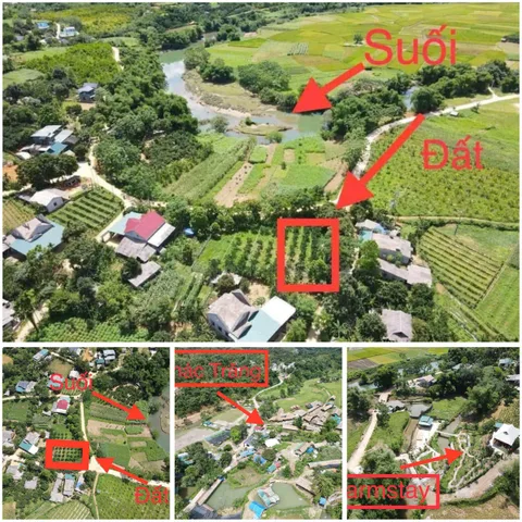 Bất động sản tại Phú Thọ - ảnh 1