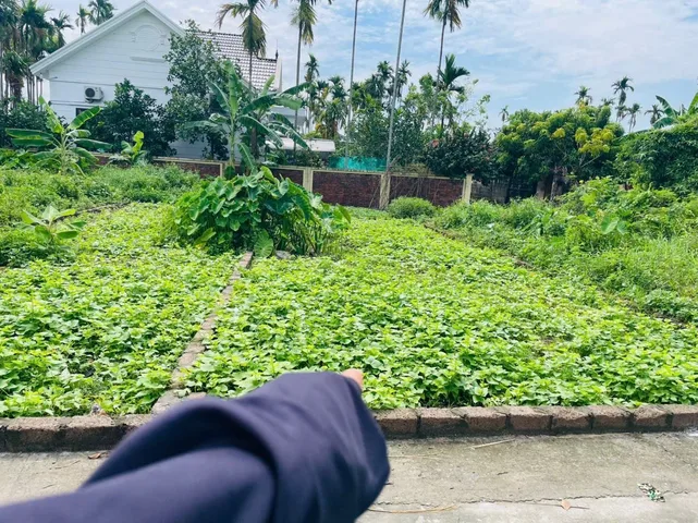 Bất động sản tại Hải Phòng - ảnh 1