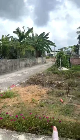 Bất động sản tại Hải Phòng - ảnh 1