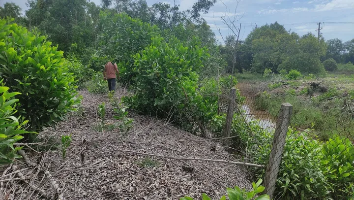Bất động sản tại Bà Rịa - Vũng Tàu - ảnh 1
