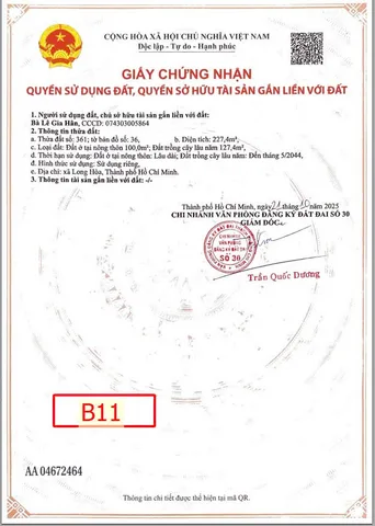 Bất động sản tại Bình Dương - ảnh 1