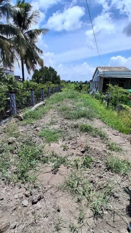 Bất động sản tại Long An - ảnh 1