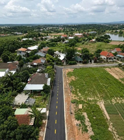 Bất động sản tại Bình Dương - ảnh 1