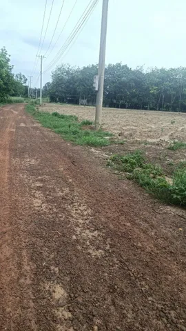 Bất động sản tại Bình Dương - ảnh 1