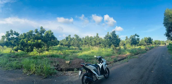 Bất động sản tại Bà Rịa - Vũng Tàu - ảnh 1