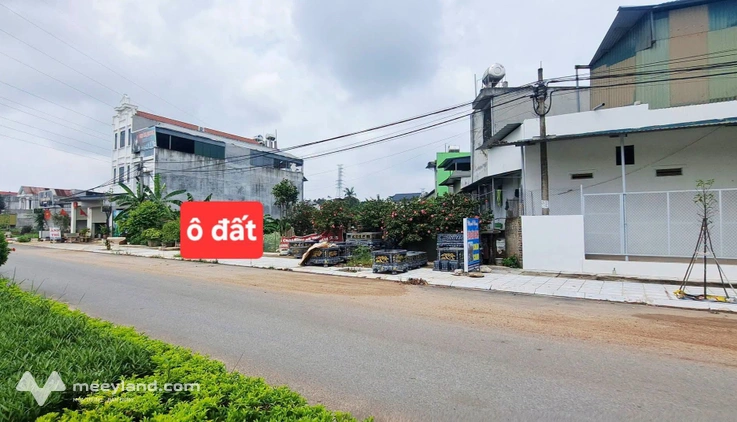 Bất động sản tại Vĩnh Phúc - ảnh 1
