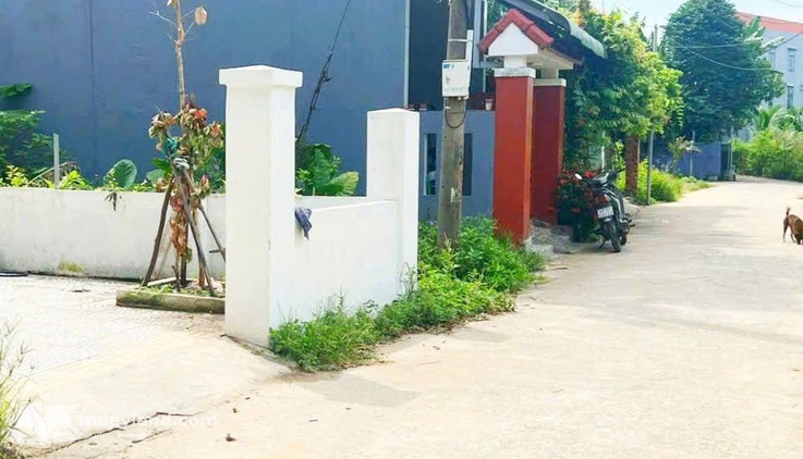 Bất động sản tại Đà Nẵng - ảnh 1