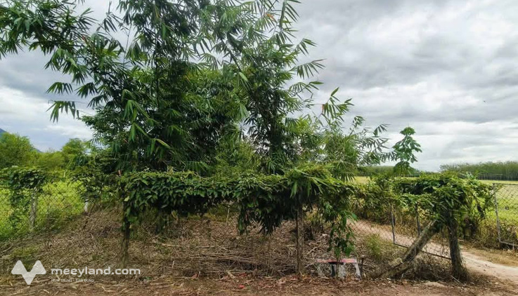 Bất động sản tại Tây Ninh - ảnh 1