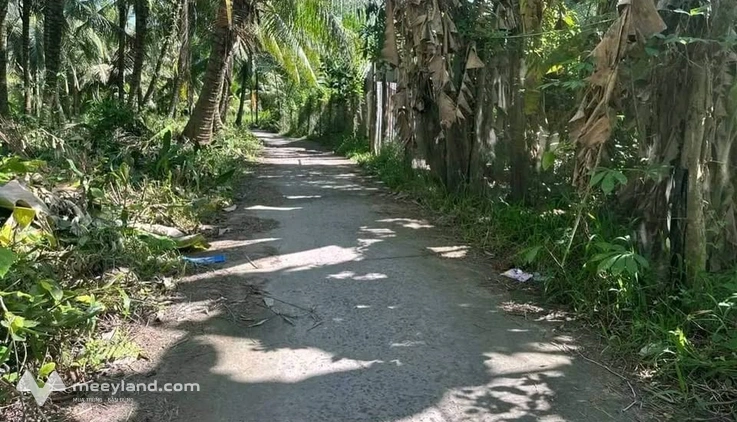 Bất động sản tại Trà Vinh - ảnh 1