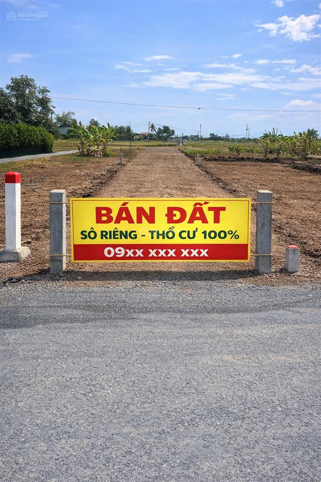 Bất động sản tại Long An - ảnh 1