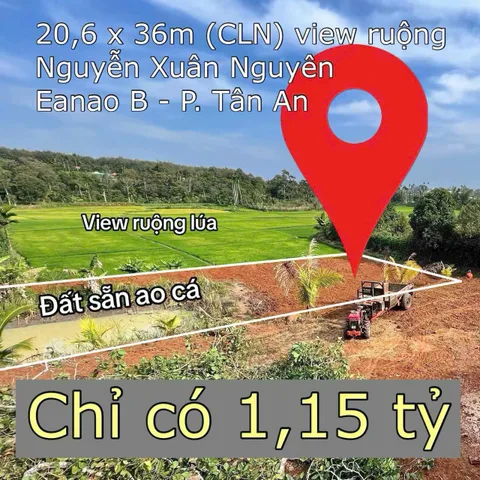 Bất động sản tại Đắk Lắk - ảnh 1