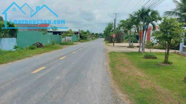 Bất động sản tại Long An - ảnh 1
