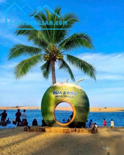 Bất động sản tại Bình Định - ảnh 1