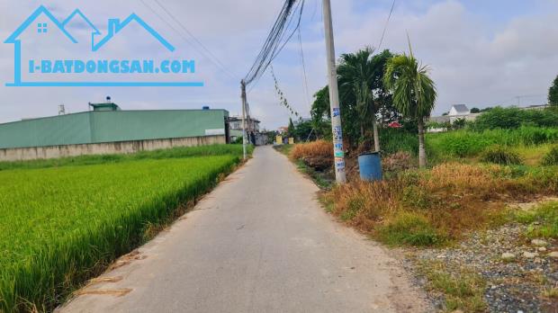 Bất động sản tại Long An - ảnh 1