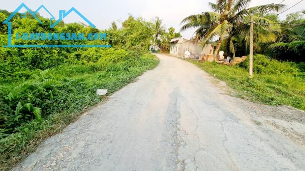 Bất động sản tại Long An - ảnh 1