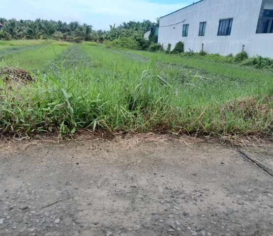 Bất động sản tại Tiền Giang - ảnh 1