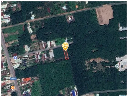 Bất động sản tại Bình Dương - ảnh 1