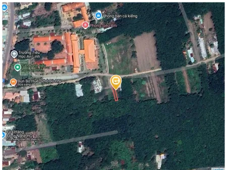Bất động sản tại Bình Dương - ảnh 1