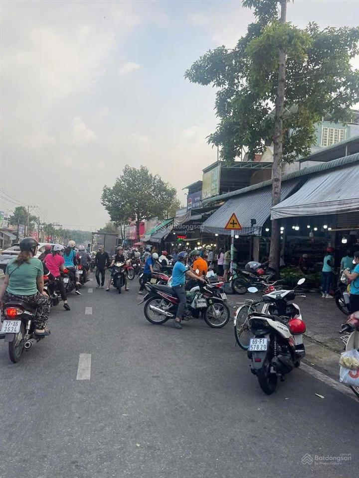 Bất động sản tại Bình Dương - ảnh 1