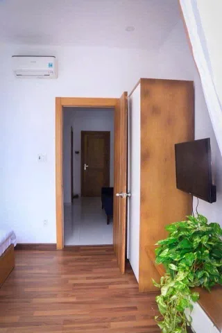 Bất động sản tại Đà Nẵng - ảnh 1