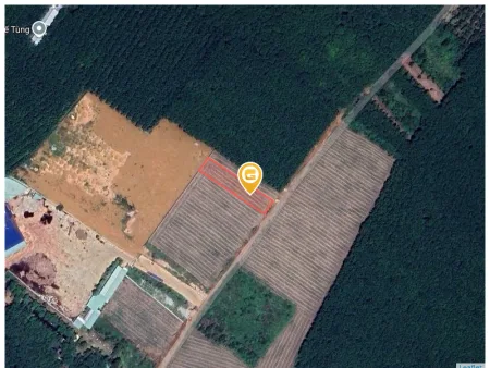 Bất động sản tại Bình Dương - ảnh 1