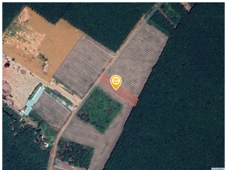 Bất động sản tại Bình Dương - ảnh 1