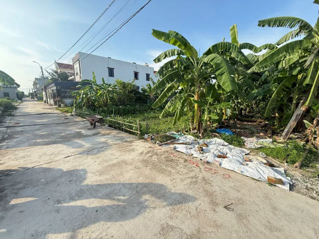 Bất động sản tại Hải Phòng - ảnh 1