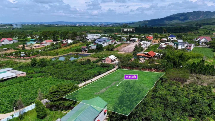 Bất động sản tại Lâm Đồng - ảnh 1