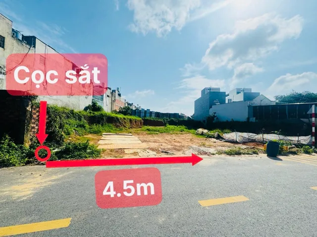 Bất động sản tại Bình Dương - ảnh 1