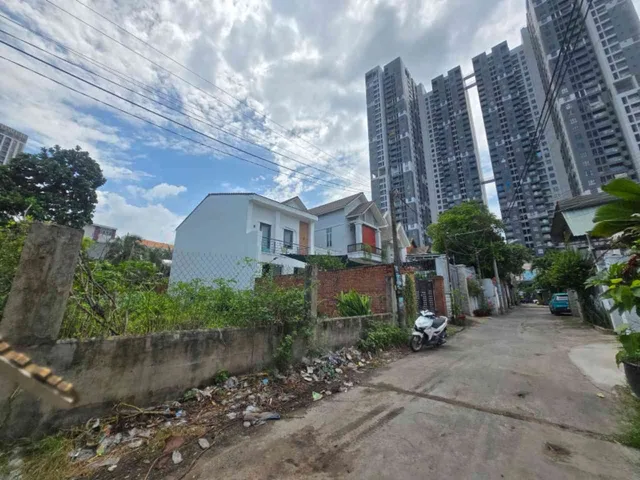 Bất động sản tại TP. Hồ Chí Minh - ảnh 1