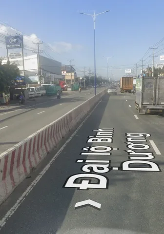 Bất động sản tại Bình Dương - ảnh 1