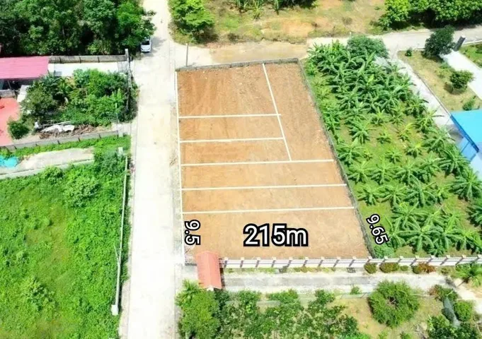 Bất động sản tại Phú Thọ - ảnh 1