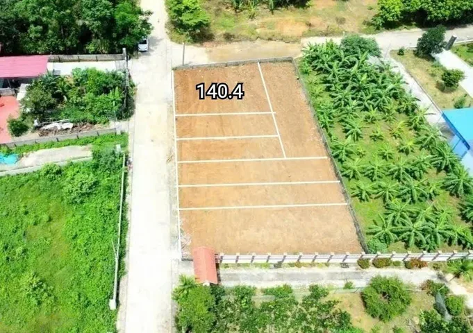 Bất động sản tại Phú Thọ - ảnh 1
