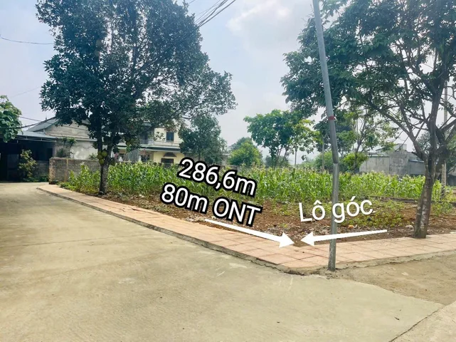 Bất động sản tại Phú Thọ - ảnh 1