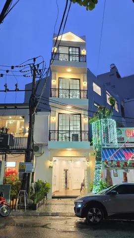 Bất động sản tại Đà Nẵng - ảnh 1