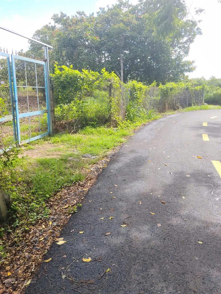 Bất động sản tại Bà Rịa - Vũng Tàu - ảnh 1