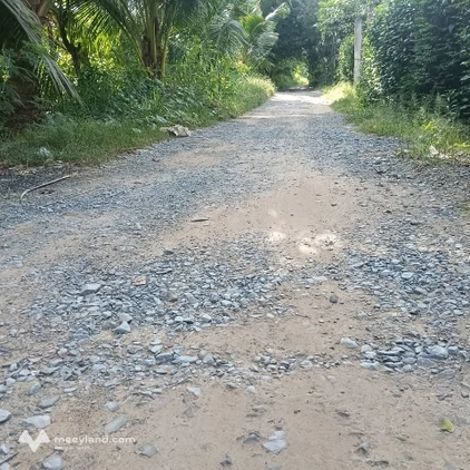 Bất động sản tại Bến Tre - ảnh 1