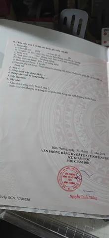 Bất động sản tại Bình Dương - ảnh 1