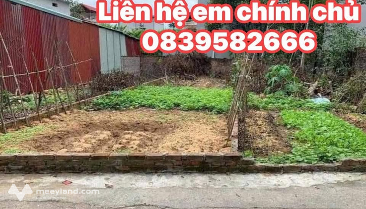 Bất động sản tại Bắc Ninh - ảnh 1