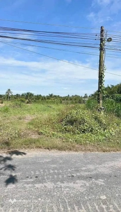 Bất động sản tại Long An - ảnh 1