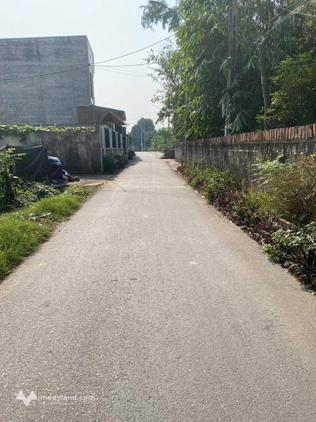 Bất động sản tại Vĩnh Phúc - ảnh 1