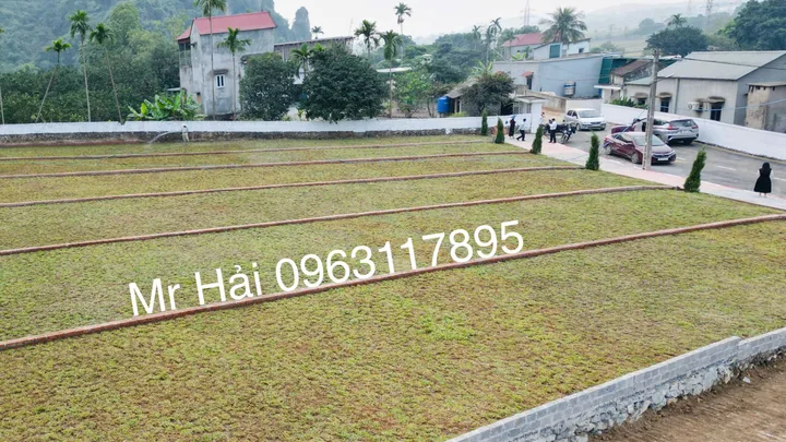 Bất động sản tại Phú Thọ - ảnh 1